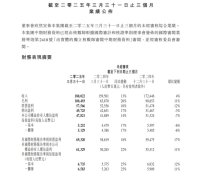 <b>正在AI计谋投入阶</b>